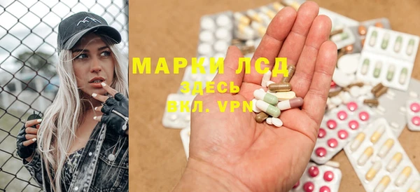 сатива Балахна