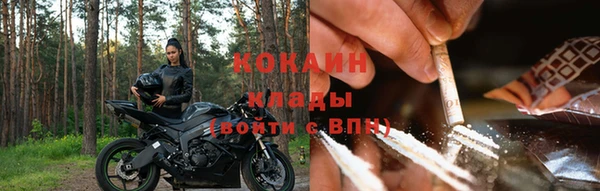 сатива Балахна