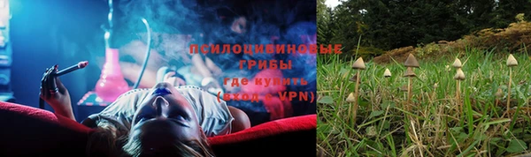 сатива Балабаново