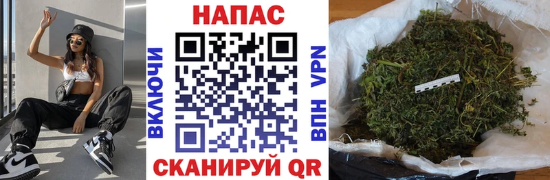 МАРИХУАНА план  купить наркотики цена  Щёлкино 